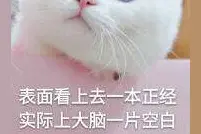表情图：我就把话撂这了   你要用心爱我图片