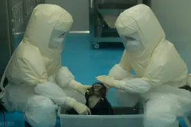 介猴不卖，想用猴还是您自个养去吧，美国医药界满世界找猴子图片