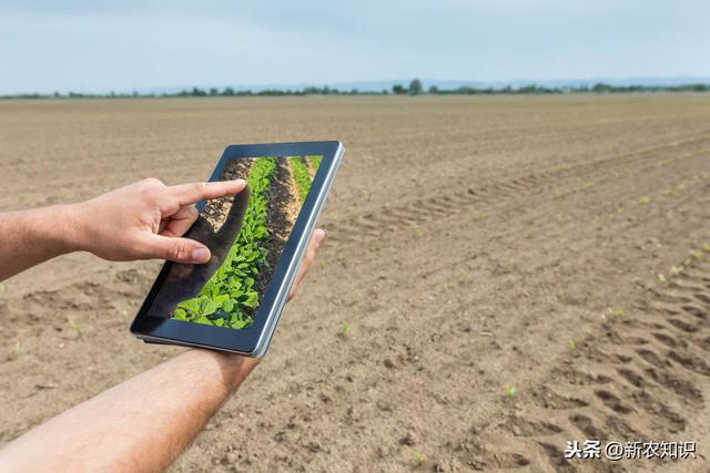 大豆种植及病虫害防治技术，来学学化学防治的方法
