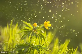 古诗词中的“雨”，到底有多美？图片