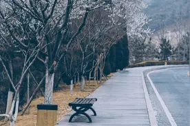 生活是平的图片