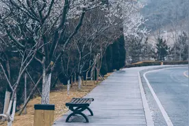 生活是平的图片