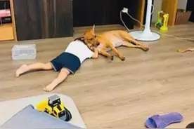 小主人想亲狗狗不成生气了，互相背对着背赌气：都是可爱鬼呀图片