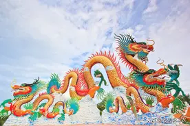 2021年是二龙治水，十一牛耕田，六人分饼，啥意思？图片