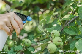 这种药，防治蚜虫、粉虱、蓟马、飞虱、叶蝉很有效，注意剂量图片