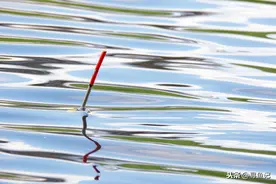 为什么浮漂总是忽高忽低，没有顿口？原来问题竟然出在这里图片