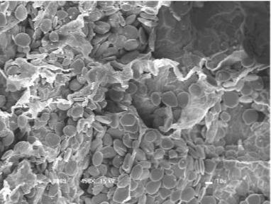 什么叫锅气？为什么要热锅冷油？为何会不粘锅？烹饪中的物理化学