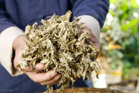 防疫毒调免疫的中药熏蒸疗法应用研究图片