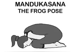 瑜伽体式之瑜伽青蛙式Mandukasana 简单的练习调理整个腹部器官图片