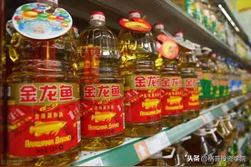 金龙鱼-投资分析图片