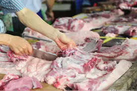 广东韶关再增现代化生态高效生猪养殖场，年出栏10万头肉猪图片