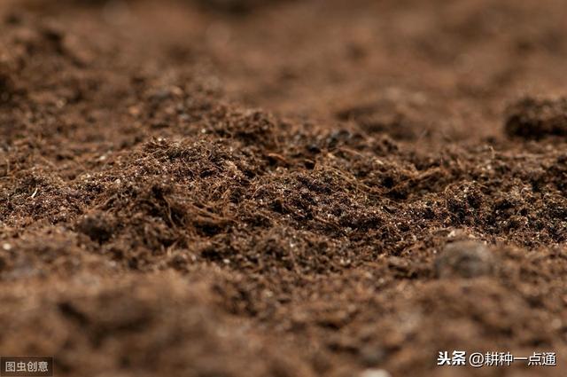 不健康的土壤往往表现得死气沉沉 所以种出来的蔬菜产量上不去