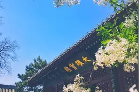 曾国藩：百种弊病，皆从懒生图片