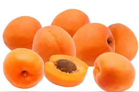 吃杏伤人？适可而止就没问题图片