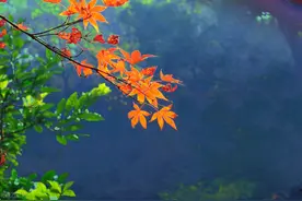 有一种深爱，默默牵挂，不再纠缠图片