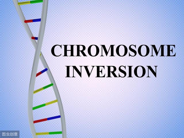 几种常见功能性饲料添加剂