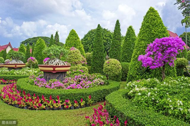 公园里常见的6种花,开花美,名字特别,你认识几种