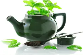 薄荷是著名香料，学会三种繁殖方法，家庭盆栽养植随手可用图片