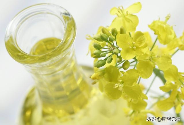 简明食用油指南—哪一些更适合你？