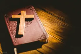 一个印度人在上海的日子1：什么都是那么美好图片