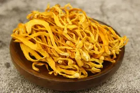 虫草花，非虫非草也非花！面纱揭开你懂它！秋冬进补必有它图片