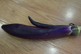 养猪中巧用茄子偏方，不花钱治猪病图片