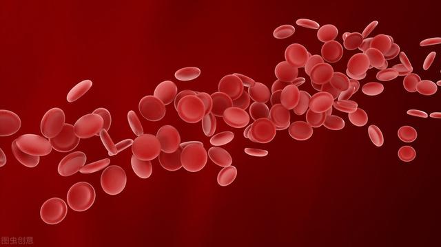 猫咪临床常用血液检查及血液生化检验项目（先收藏)