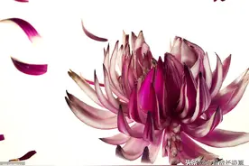 按图索骥剥洋葱：80%困扰我们的育儿问题可能都是伪问题图片