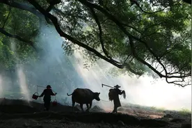 “三和大神”已成为一种生活态度图片