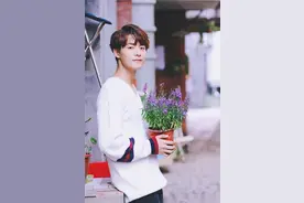 “凉生我们可不可以不忧伤”，可以说是很多人的情感生活写照图片