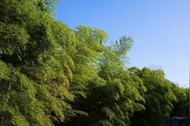 七月的风懒懒的，连云都变热热的，3首古诗词里吹过“夏天的风”图片