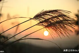 人生三不，你做到了，生活也就通透了图片