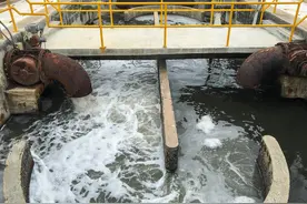 怎样快速降解水中的氨氮？可达5ppm以下图片