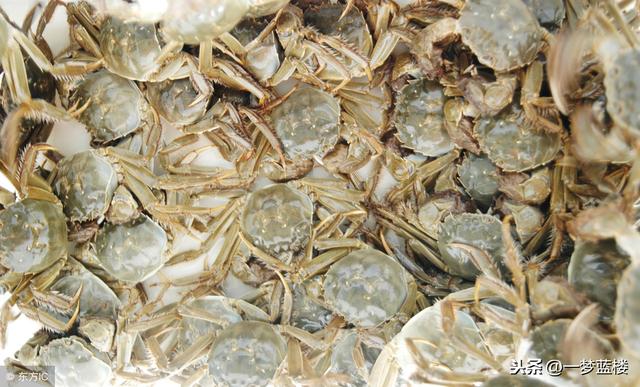 閭ｄ簺鍙湁鍦堝唴浜烘墠鐭ラ亾鐨勫皬绉樺瘑锛堢涓€寮癸級