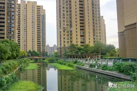 为什么有钱人买房只挑这几层？难怪身体越住越健康，后悔才发现图片
