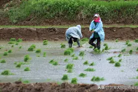劳动也是信，任何事物都有价值（信），信是相互的图片