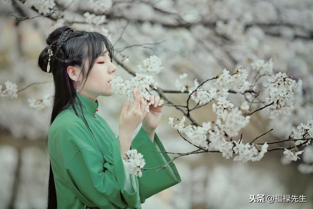 唯美到心碎的古风仙句集合（唯美到心碎的古风仙句）