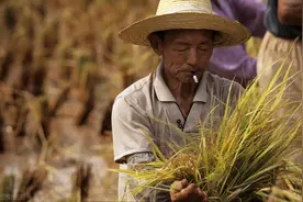 一生没有老婆的男人，到底过得怎么样？三位过来人说出了大实话图片