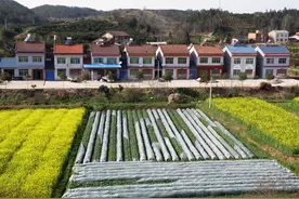 2021农村宅基地超过规定面积的部分能确权吗？拆迁有补偿吗？图片