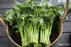 四川人给蔬菜命名无敌了！不看学名和图片你能搞懂几个？图片