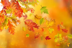 刘禹锡被贬时写的一首五绝，为何余味无穷？妙在倒叙法图片