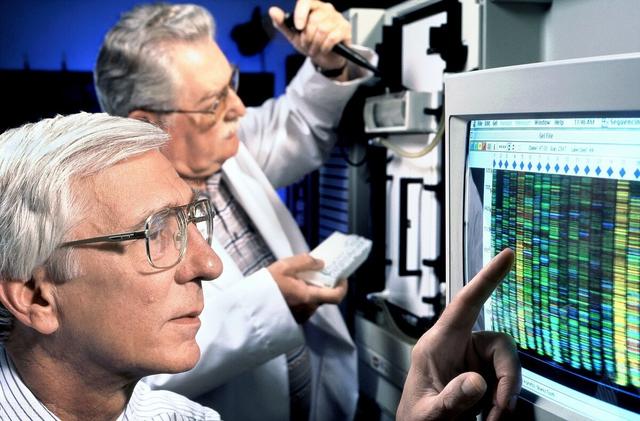 酵母培养物在奶牛生产中的研究（酵母培养物属于微生态制剂）