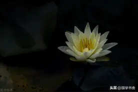 《道德经》：以“上善若水”修身，体悟道法自然之理图片
