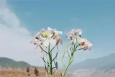 「晚·安」这个世界像个巨大的夹娃娃机，我隔着玻璃窗，只想要你图片
