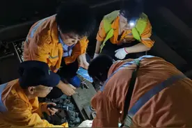 高铁线路综合检修工：他们是昼伏夜出的“夜行者”丨我苏特稿图片