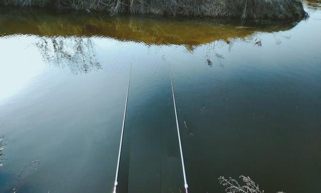 2025年11月3日 第28页