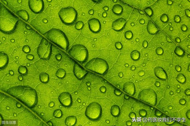 护肤科学辟谣：通过外用能不能直接给肌肤补充水分？