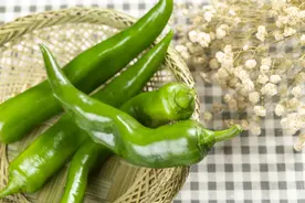 青椒辣不辣？老农教你4个小妙招，轻松区分辣与不辣，收藏备用图片