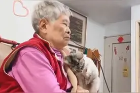 猫咪被主人“欺负”，立刻把头靠在阿嫲胸口告状，可委屈了图片