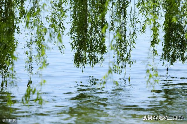 原来“碧玉妆成一树高”中的“碧玉”是这样理解的